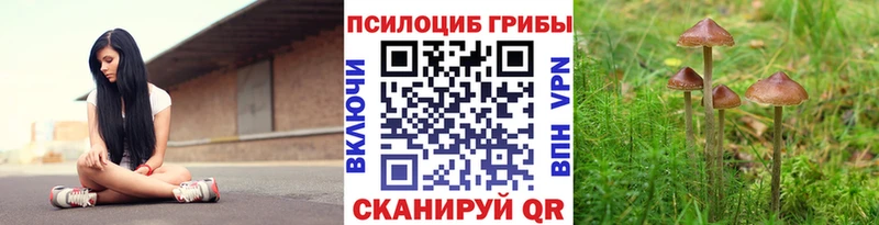 наркотики  Сельцо  Псилоцибиновые грибы мухоморы 